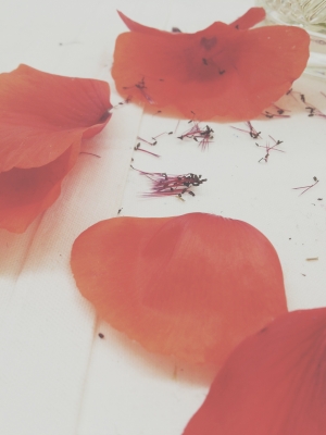 Red Poppies via Passion and Obsession blog