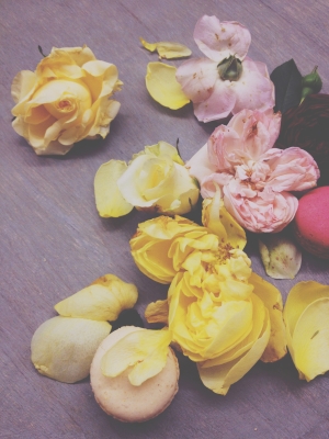 Roses & Macarons via Passion and Obsession blog